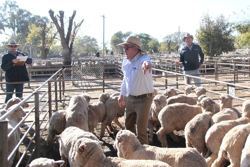 Auctioneer Cole Harris and Andrew Adams of Delta Livestock and Property. Picture: Kelly Manwaring
