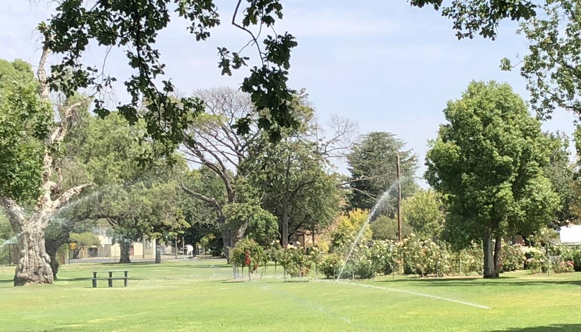 SPRINKLERS ON: Cootamundra recreation area, Albert Park, is still in good condition despite recent dry weather due to a regular watering routine by Cootamundra-Gundagai Regional Council. 