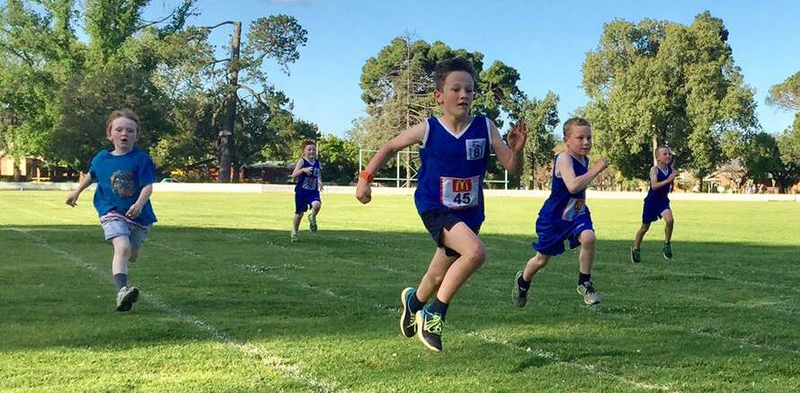 All positions will be vacant at the upcoming Cootamundra and District Little Athletics Annual General Meeting. 