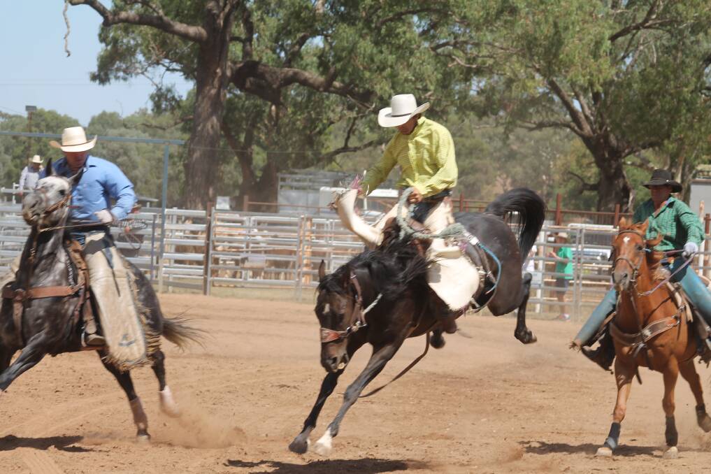 Rodeo in March
